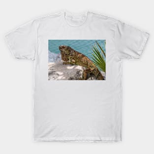 Iguana on Stone T-Shirt